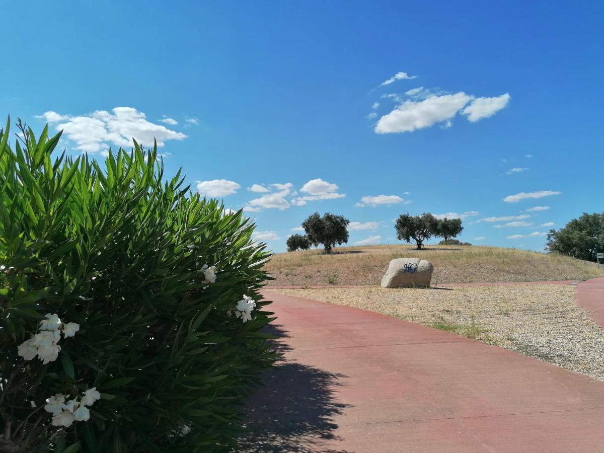 Hébergement de vacances Casa Bolota *